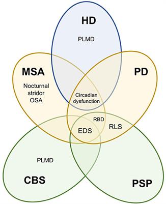 Neuroimaging of Sleep Disturbances in Movement Disorders